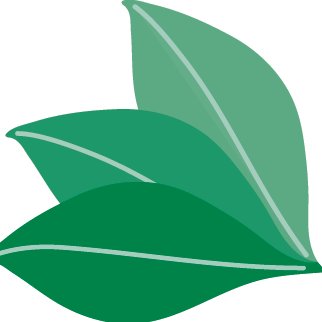 Promo codes The Harmony Company