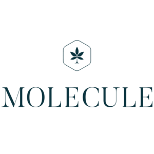 Promo codes MOLECULE