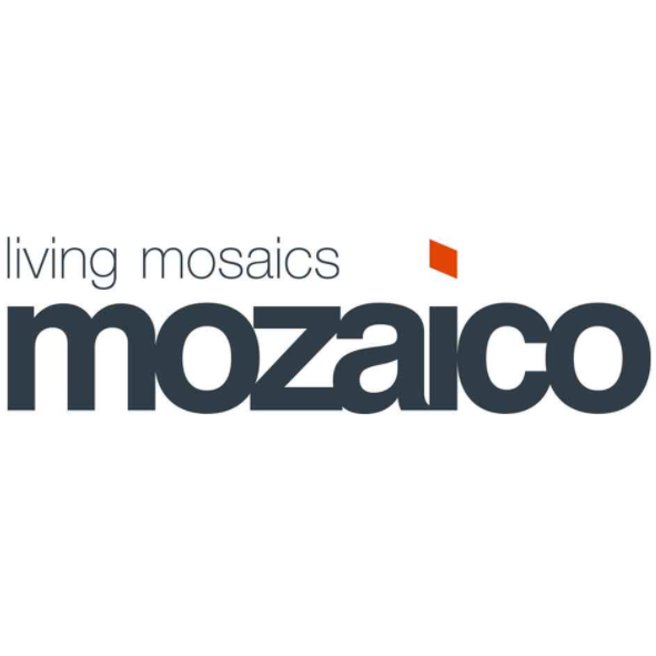 Promo codes Mozaico