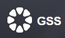 Promo codes GSS
