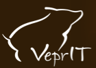 Promo codes VeprIT