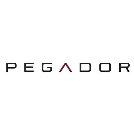 Promo codes Pegador