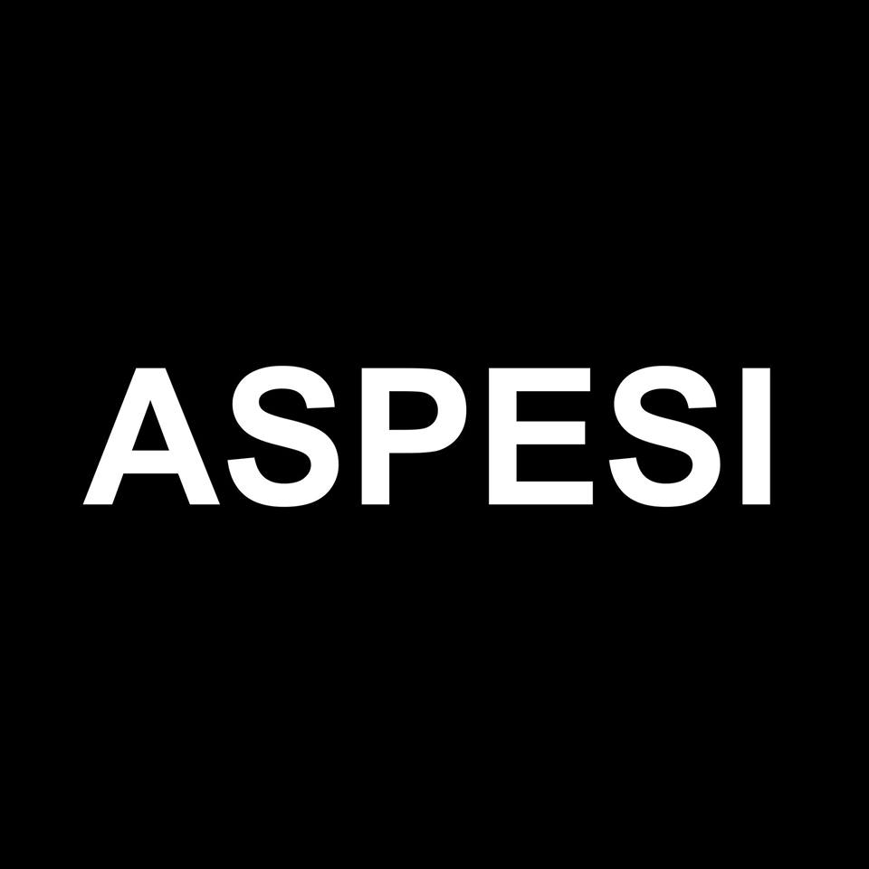 Promo codes Aspesi