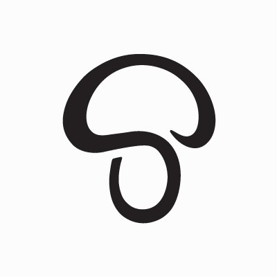 Promo codes Silver Mushroom