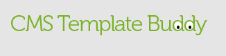 Promo codes CMS Template Buddy