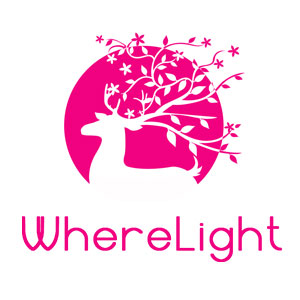 Promo codes WhereLight