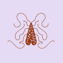 Promo codes Goldbug Collection