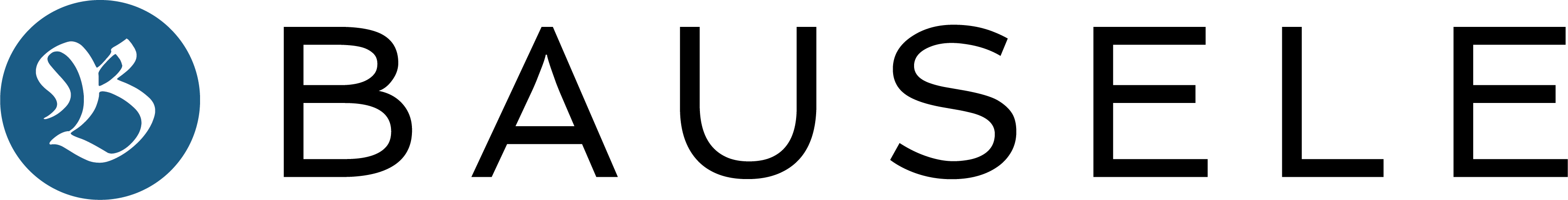 Promo codes BAUSELE