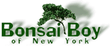 Promo codes Bonsai Boy