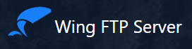 Promo codes Wing FTP