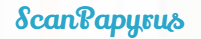 Promo codes ScanPapyrus