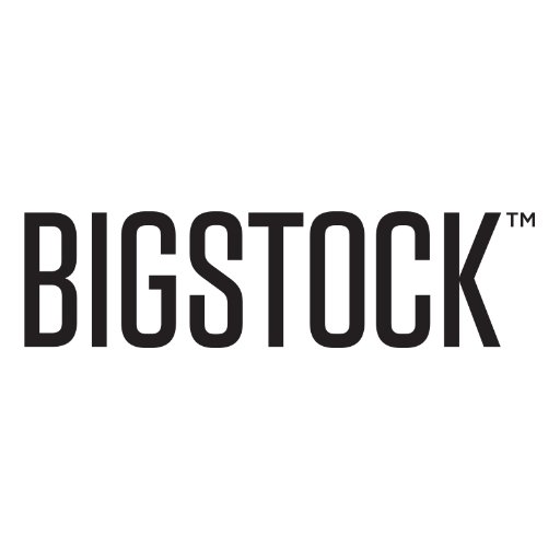 Promo codes Bigstock