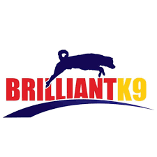Promo codes BrilliantK9