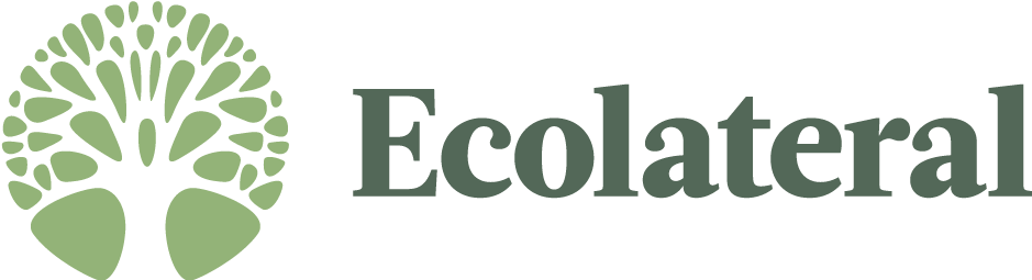 Promo codes Ecolateral