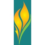 Promo codes Flametree Yoga Studio