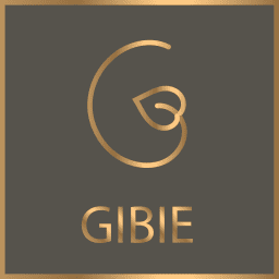 Promo codes GIBIE