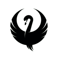 Promo codes Teal Swan