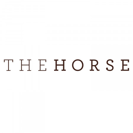 Promo codes The Horse